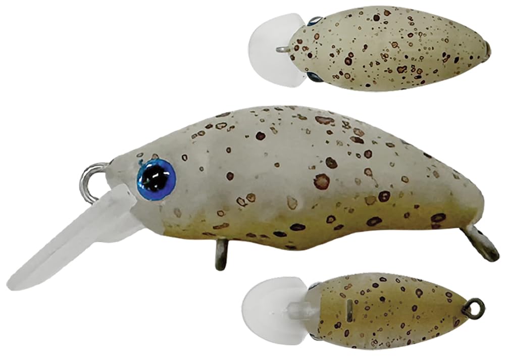 Amazon | スミス(SMITH LTD) ダンゴウオDR-Low 05 ウォルナットRG Amazon | スミス(SMITH LTD) ダンゴウオDR-Low 05 ウォルナットRG